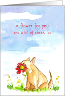 A Flower For You Get Well Dog card