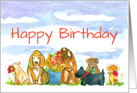 Happy Birthday Hound Dog Scottie Puppy Animal Pets card