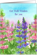 Get Well Wishes For You Lupine Flowers card