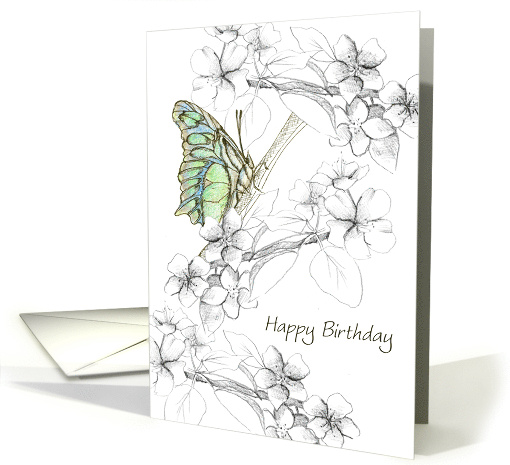Happy Birthday Moth Flowering Fruit Tree Sketch card (906641)