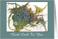 Good Luck To You Watercolor Grapes Fruit Leaf Vines card