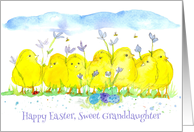 Happy Easter Sweet Granddaughter Chickens card