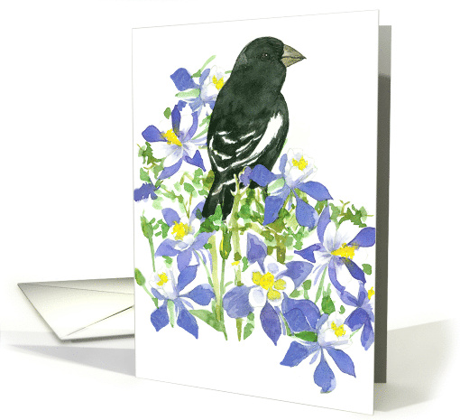 Blackbird Lark Bunting Purple Columbine Wildflowers Blank card