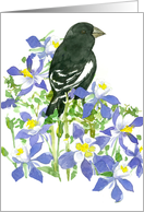 Blackbird Lark Bunting Purple Columbine Wildflowers Blank card