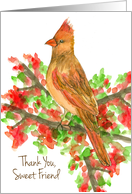 Thank You Friend Female Cardinal Bird card