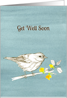 Get Well Soon White Bird Tree Branch Gray card