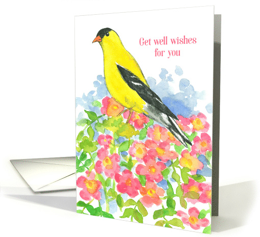 Get Well Wishes Eastern Goldfinch Wildflowers card (910422)