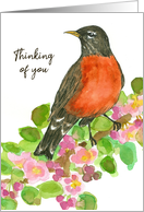 Thinking of You Robin Bird Apple Tree Blossoms card