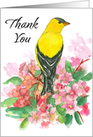 Thank You Goldfinch Bird Rhododendron Flowers Blank card