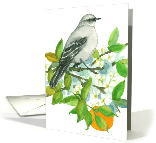 Mockingbird Orange Blossom Tree Wildlife Blank card (910428)