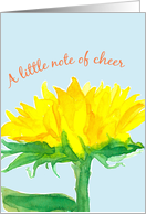A Little Note Of Cheer Sunflower Get Well card