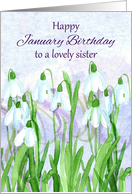 Happy January Birthday Sister Snowdrops Birth Flower card
