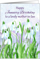 Happy January Birthday Mother-in-Law Snowdrops Birth Flower card