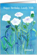 Happy Birthday Lovely Wife White Carnation Flowers Watercolor card