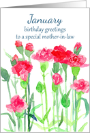 Happy Birthday Mother-in-Law Carnation Birth Flower card