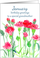 Happy Birthday Grandmother Carnation Flower Bouquet card