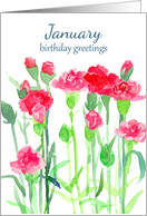 January Birthday Red Pink Carnation Flowers Watercolor card