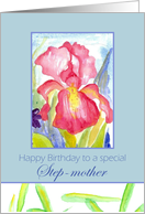 Happy Birthday Step-Mother February Pink Iris Flower Watercolor card