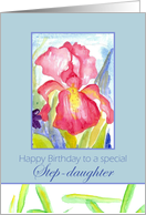 Happy Birthday Step-Daughter February Pink Iris Flower Watercolor card