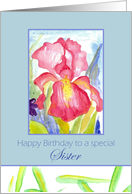 Happy Birthday Sister February Pink Iris Flower card