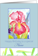 Happy Birthday Niece February Pink Iris Flower Watercolor card