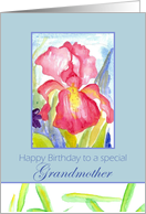 Happy Birthday Grandmother February Pink Iris Flower Watercolor card