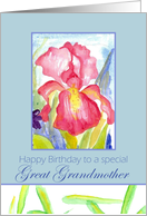 Happy Birthday Great Grandmother February Pink Iris Flower Watercolor card