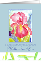 Happy Birthday Mother-in-Law February Pink Iris Flower Watercolor card