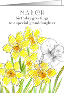 Happy Birthday Granddaughter Yellow Daffodil Birth Flower card