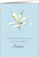 Happy May Birthday Sister White Lily Flower Pencil Drawing card