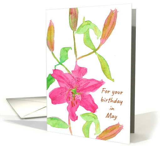 Happy May Birthday Pink Day Lily Flower card (915111)
