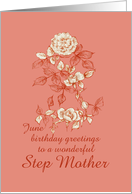 Happy June Birthday Step Mother White Rose Flower Ink Drawing card