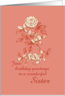 Happy June Birthday Sister White Rose Flower Ink Drawing card