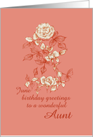 Happy June Birthday Aunt White Rose Flower Drawing card