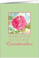 Happy June Birthday Grandmother Pink Rose Flower Watercolor Painting card