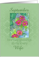 Happy September Birthday Wife Pink Aster Flower Watercolor card