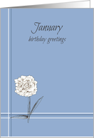 Happy January Birthday Greetings White Carnation card