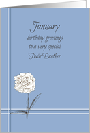 Happy January Birthday Twin Brother Carnation Flower card