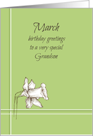 Happy March Birthday Grandson White Daffodil Flower card