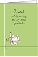 Happy March Birthday Grandnephew White Daffodil Flower card