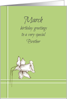 Happy March Birthday Brother Daffodil Flower card