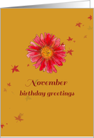 November Birthday...