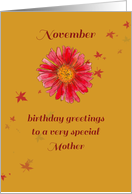 November Birthday...