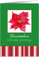 December Birthday Greetings Red Poinsettia Flower card