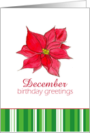 Happy December Birthday Red Poinsettia Flower card