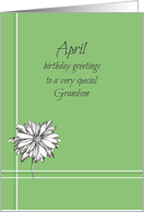 Happy April Birthday Grandson White Daisy Drawing card