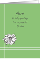 Happy April Birthday Brother White Daisy Drawing card