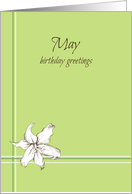 Happy May Birthday White Lily Flower Drawing card