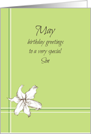 Happy May Birthday Son White Lily Flower Drawing card