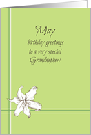 Happy May Birthday Grandnephew White Lily Flower Drawing card